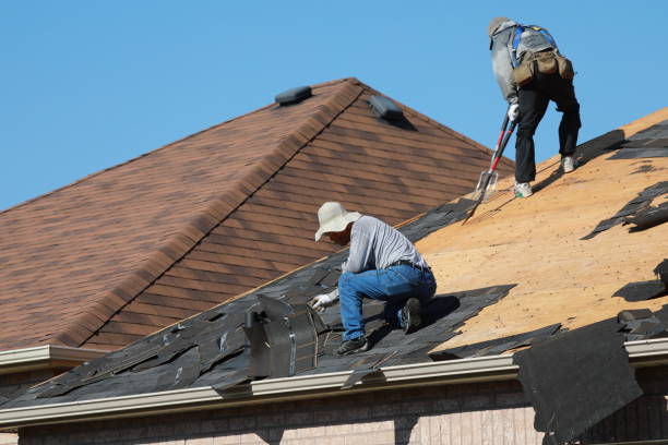 Best Solar Panel Roofing Installation  in Dunthpe, OR